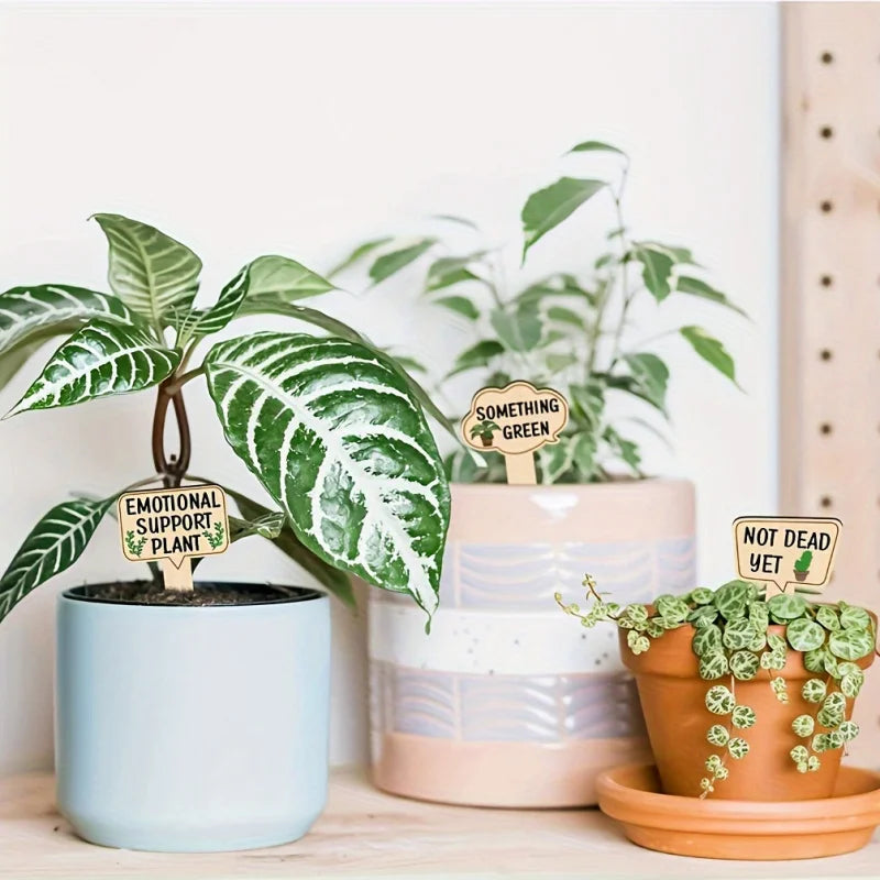 Botanical Banter Fun Plant Signs