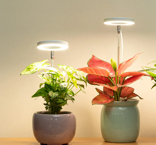 Smarty Plants Grow Light