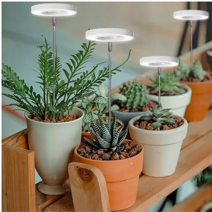 Smarty Plants Grow Light